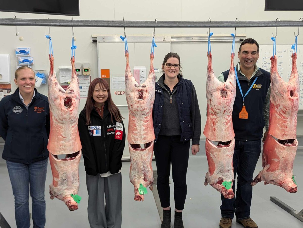 Teams from Australia, Japan and the United States will put what they've learnt to the test when they compete in a meat judging competition this Saturday (6 July). 