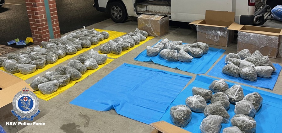 Police seized 99 bags of cannabis flowers. 