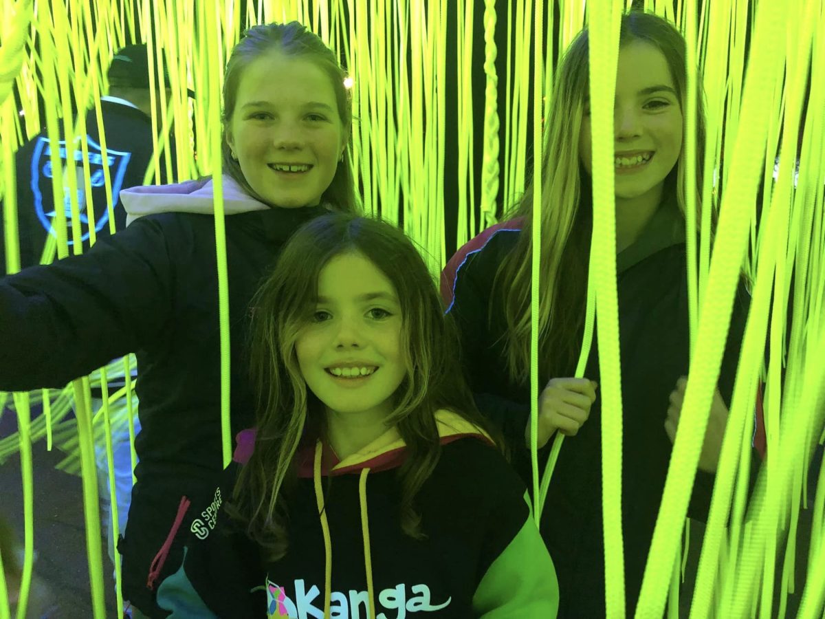 The UV Spaghetti has been a popular installation at this year's Festival of W. 