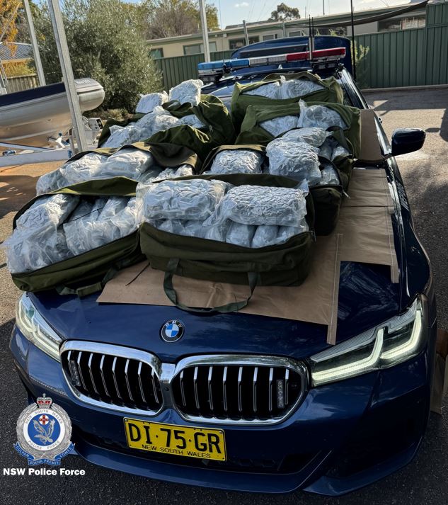 Over $700K in cannabis seized in Operation Furious crackdown.