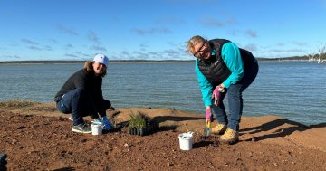 Environmental advocate leads tree planting drive to tackle blue-green algal outbreaks at Lake Wyangan
