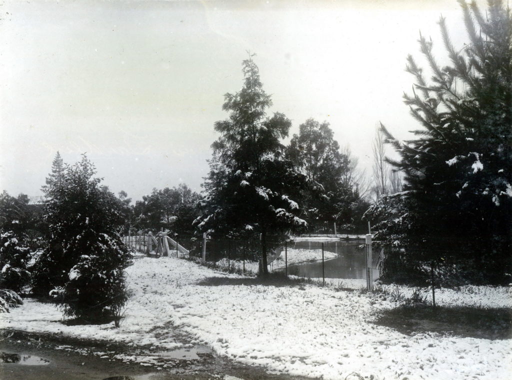 a town's snow-covered gardens