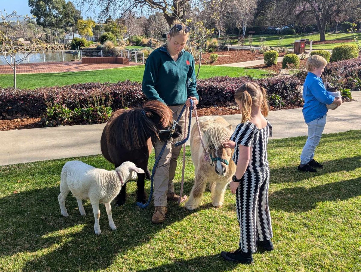 Zoo keeper holding animals. 