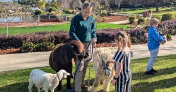Spring Jam returns to kick off spring school holidays