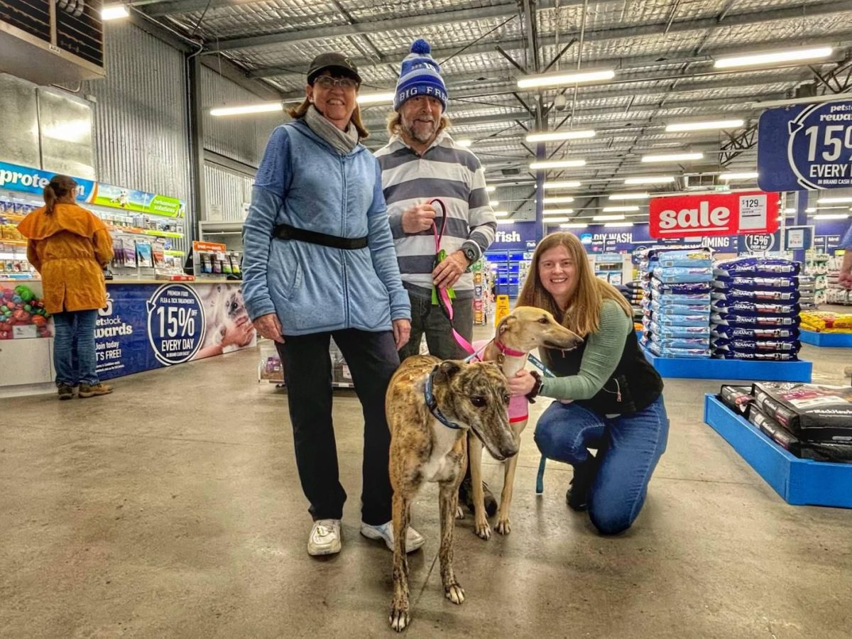 Vicki and Graeme Roy adopted Honey and Sasha through the Greyhounds As Pets (GAP) program in Albury and Wagga. 