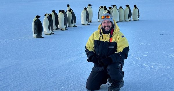 Live from Antarctica: Gundagai explorer to share his subzero stories