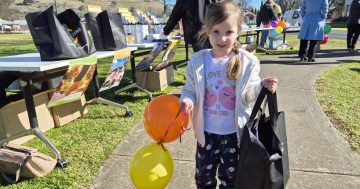 Frosty mornings warmed by community spirit at Cootamundra-Gundagai Local Government Week