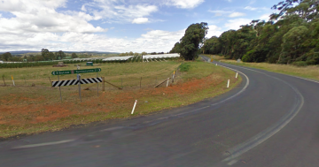 Fatal crash between workmates at Tumbarumba sawmill devastates both their families