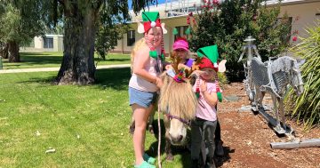 Hillston girls honoured in parliament for organising pony visits for aged care residents