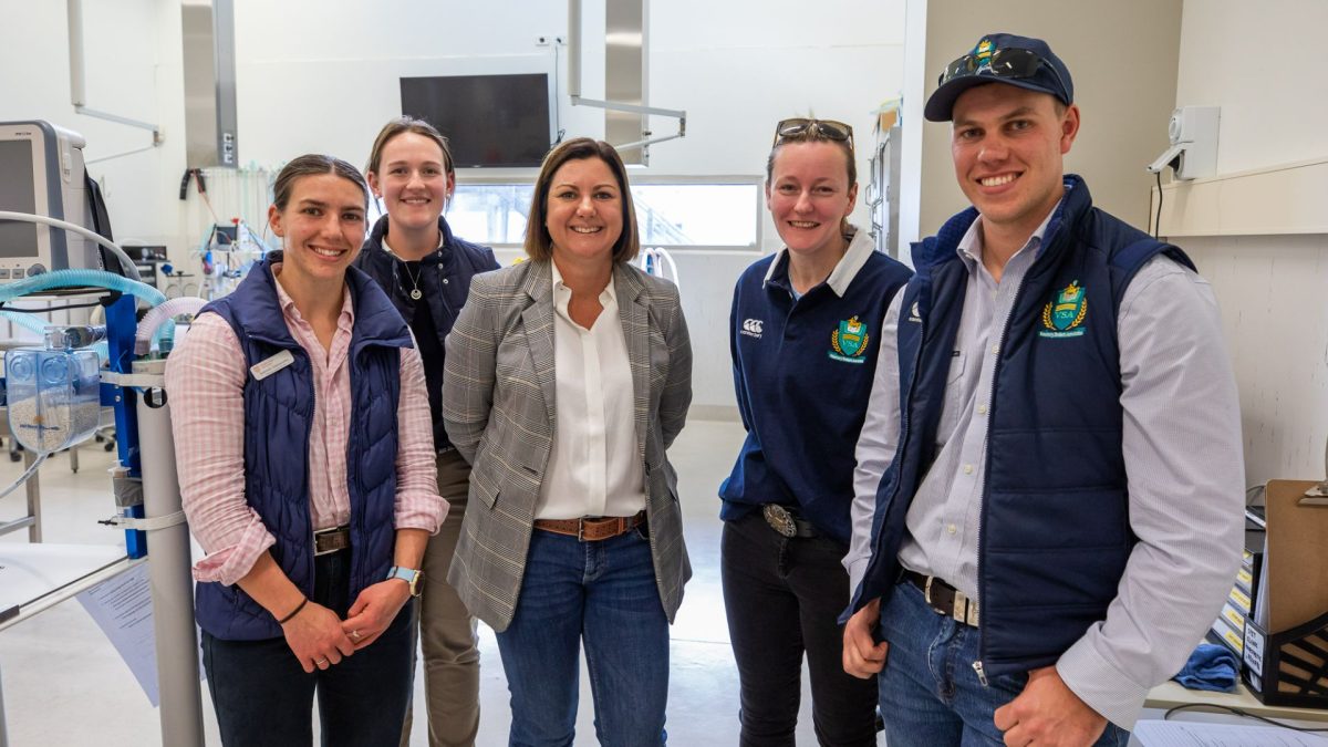 Fifth-year Charles Sturt University students Gabrielle Goldsworthy, Lauren McIlveen, Kym Grundy and Jackson Holmes with the Hon Kristy McBain MP