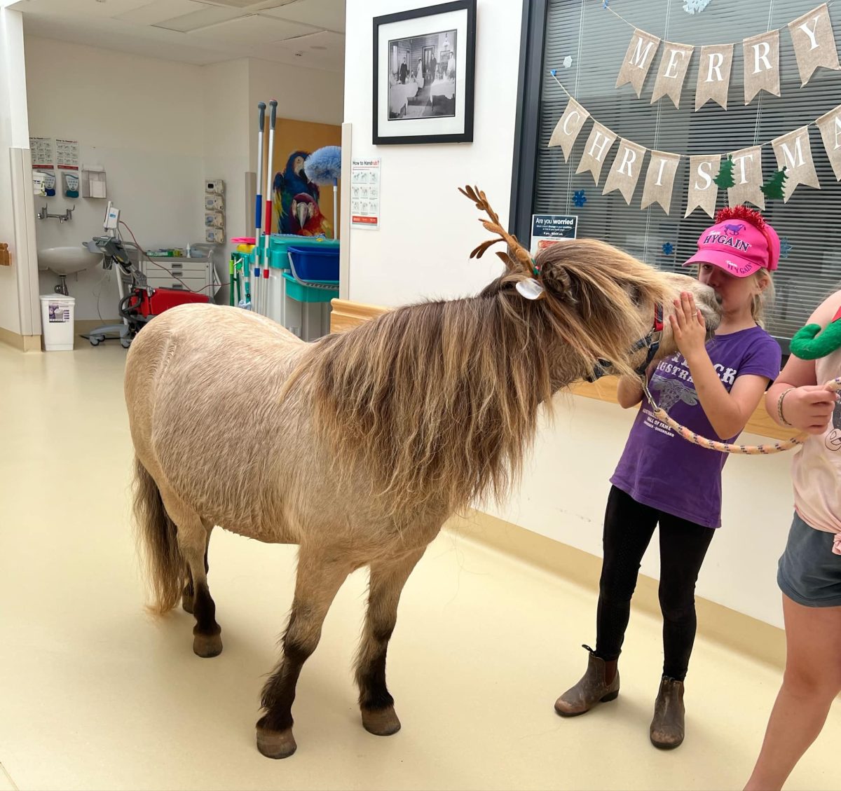 Girls in corridor with pony