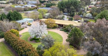 Leafy tranquility in Springvale: A spacious family home with pool and man cave