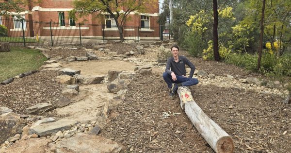 'Water for Life': ErinEarth to unveil biofiltration rain garden with a community planting day