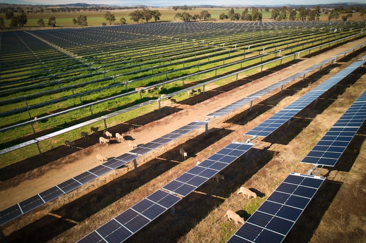 solar panel rows 