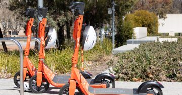 E-scooters could soon be a reality for regional NSW, but are they all they're cracked up to be?