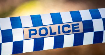 Two boys charged with 'post and boast' offences after allegedly filming themselves stealing an SUV near Albury