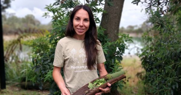 First Nations traditions meet modern science: Bush foods and medicines to feature at Henty Machinery Field Days