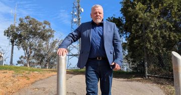 Foley's Five to fight for CCTV in Wagga's busiest areas