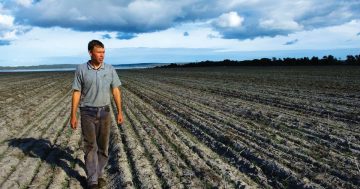 $13.5 million biosecurity project to help protect grain growers against exotic threats