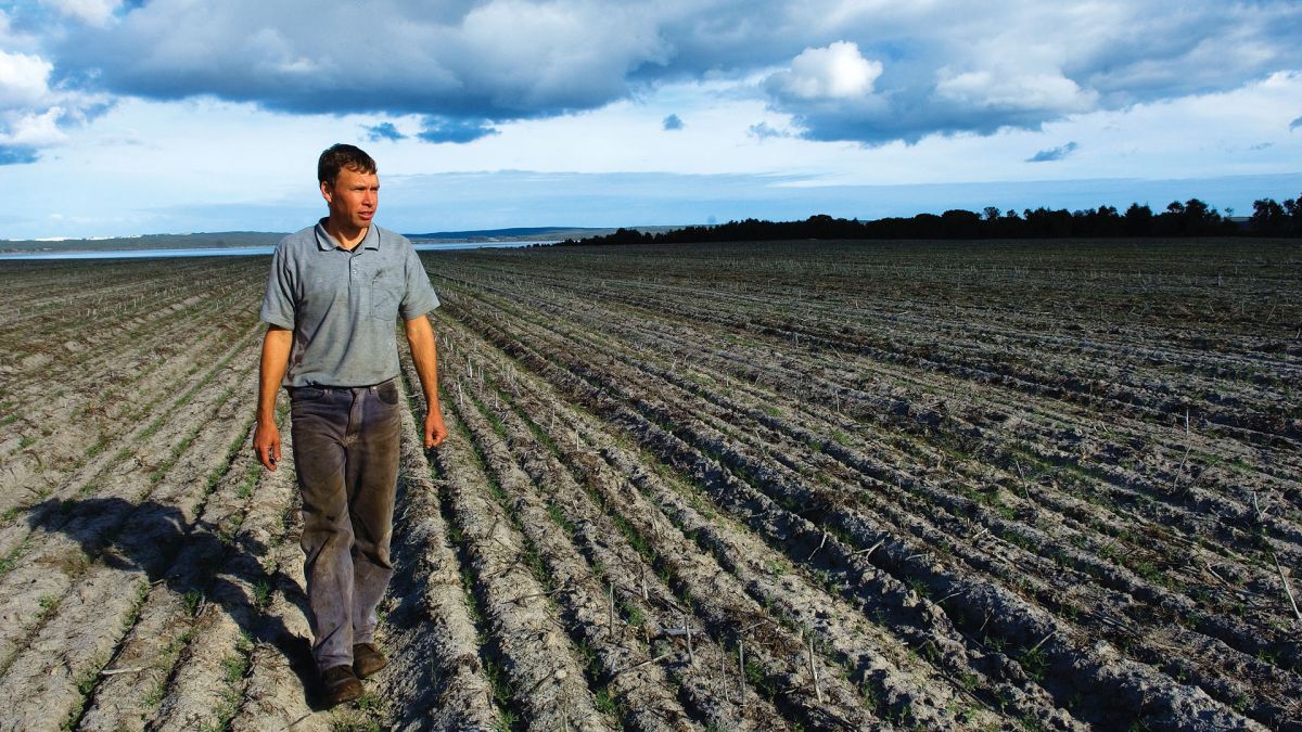 Farmer walking in a field