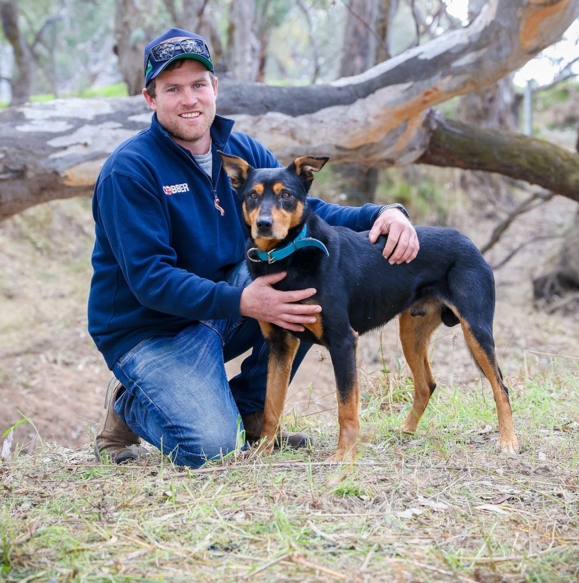 Aoidh Doyle, of Bonnie Doon, won the Hypro Murray Valley Yard Dog Championships with his kelpie Cash. 