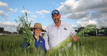 Get ready for Henty Machinery Field Days: What's new for 2024