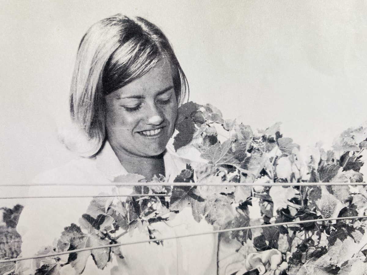 old photo of girl in vineyard 