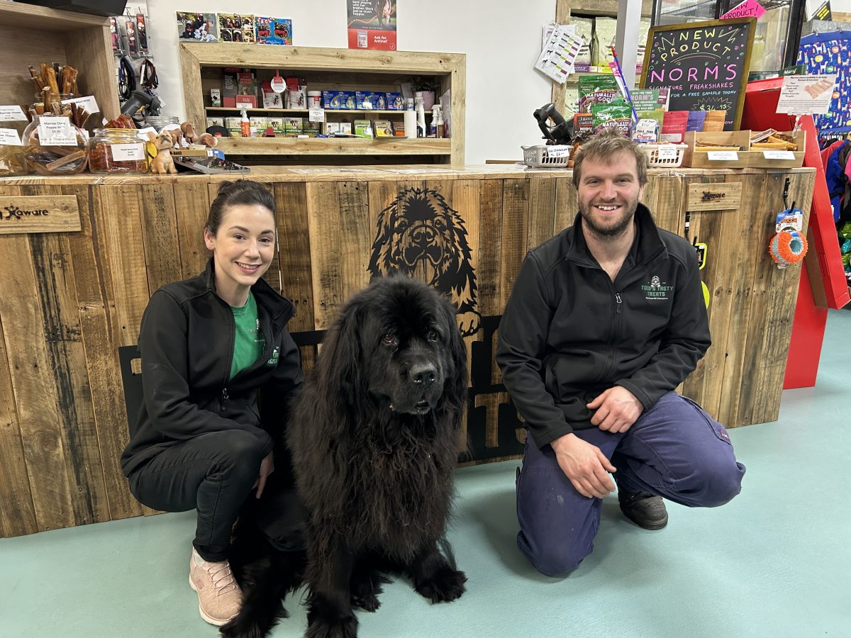 The in-store mascot, Teddie, is about to turn nine and her owners are planning a special party at the shop with a pop-up dog cafe, an obstacle course and prizes to be won. 