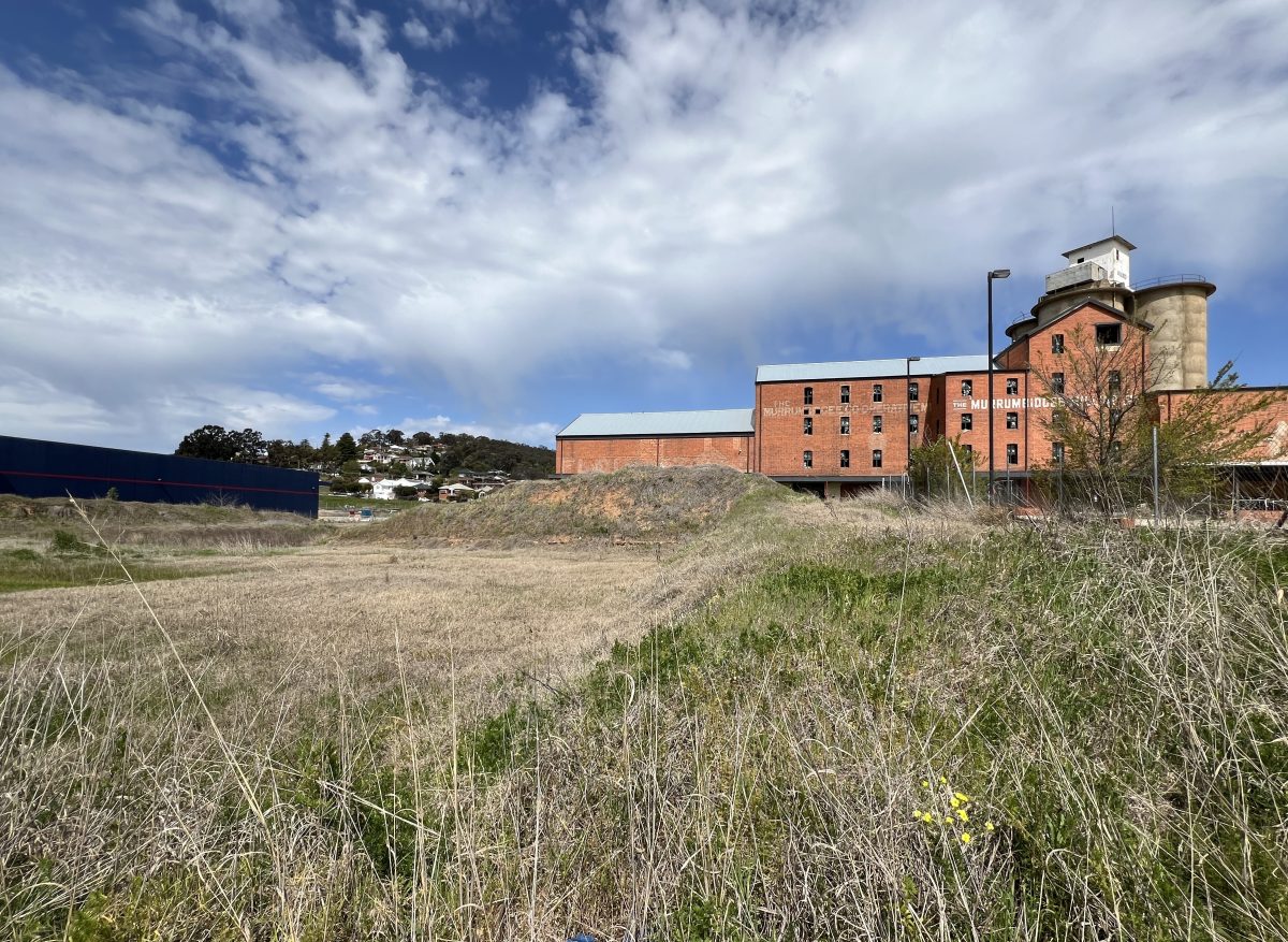 A portion of the iconic Murrumbidgee Mill is back on the market as a "blank canvas development opportunity". 