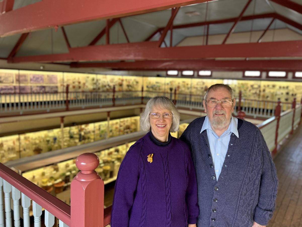 Geoff and Kerrie Ford's pottery collection spans 2050 pieces, 132 potters represented and is spread over two floors containing 125 metres of two-metre-high displays. 