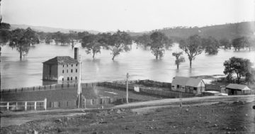 Gundagai's oldest surviving river flat building may get new lease on life