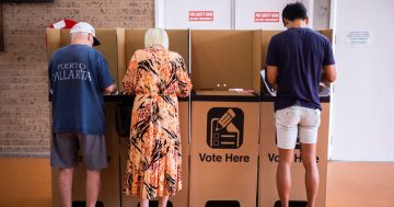 Your guide to NSW local government elections - why, how, where and when to vote