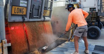 Grain handlers demand fair pay as harvest season nears