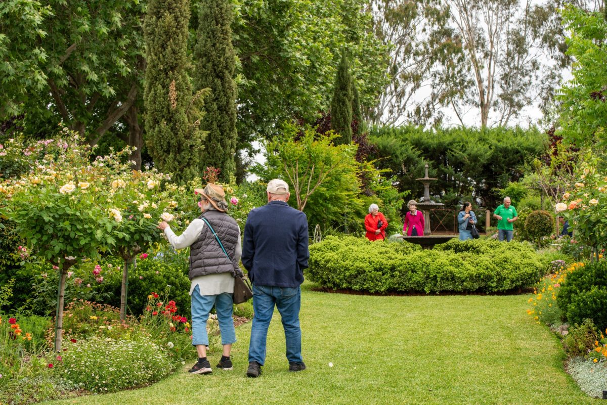 outdoor setting of garden 