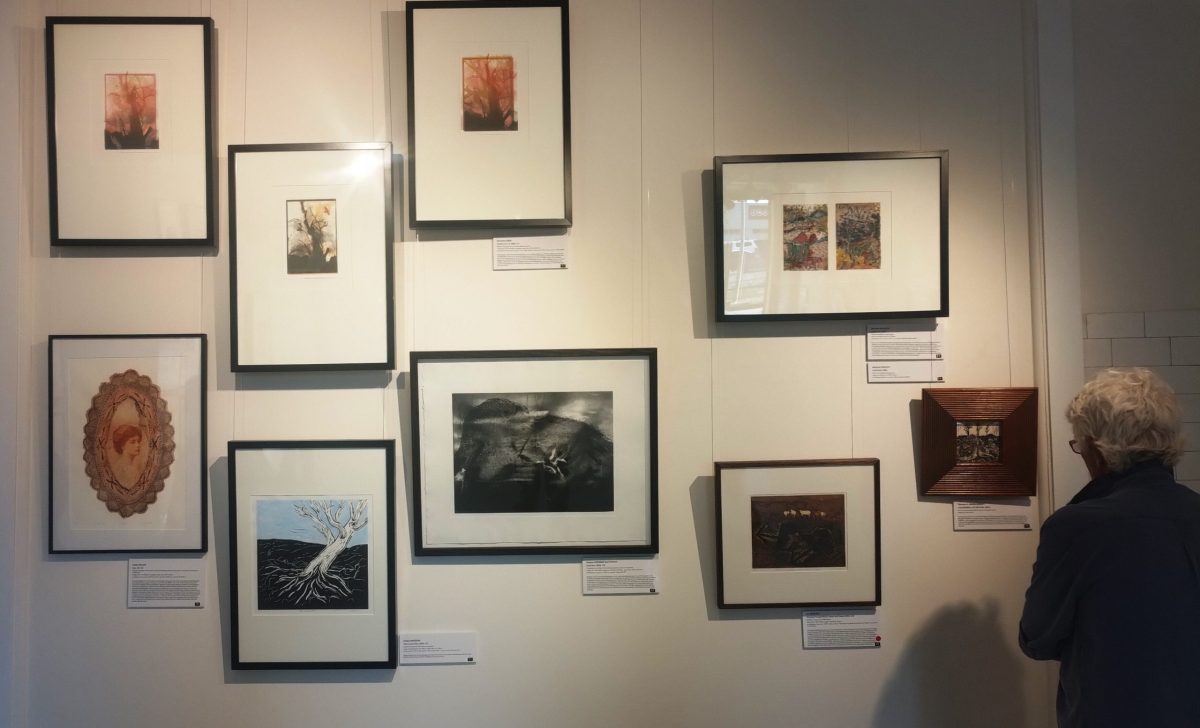 a wall of prints on display at an art gallery 