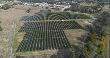 Cootamundra Solar Farm to make most of new battery installation