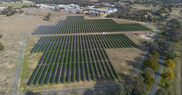 Cootamundra Solar Farm to make most of new battery installation