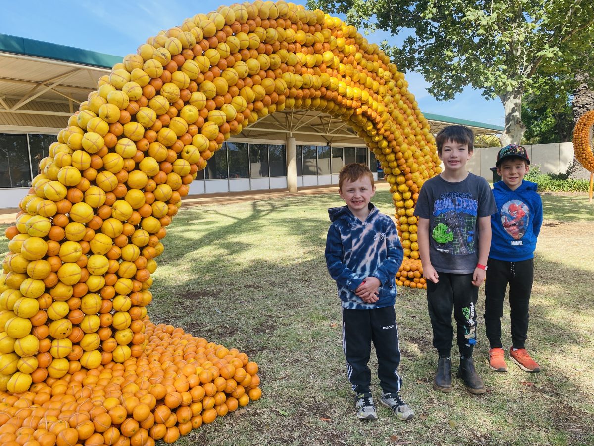 Three boys in front of a citrus sculpture of a rainbow