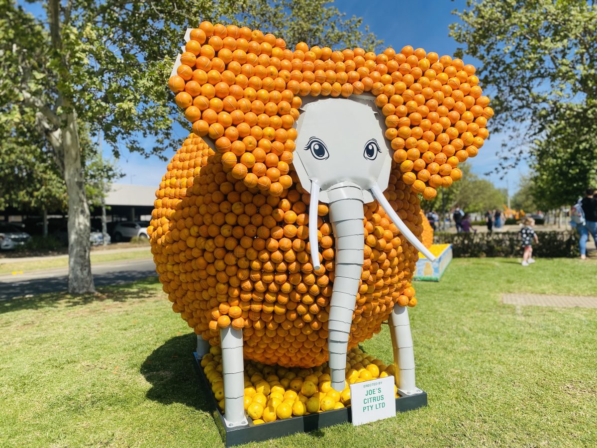 citrus elephant sculpture