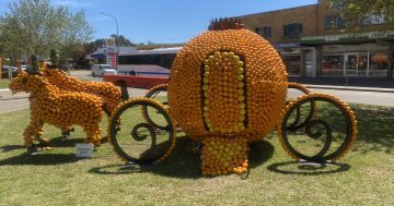 Nine things to do in the Riverina this week (11 - 17 October)