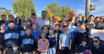 Channel Nine's Today show weather segment to be broadcast alongside 65 giant Griffith citrus sculptures