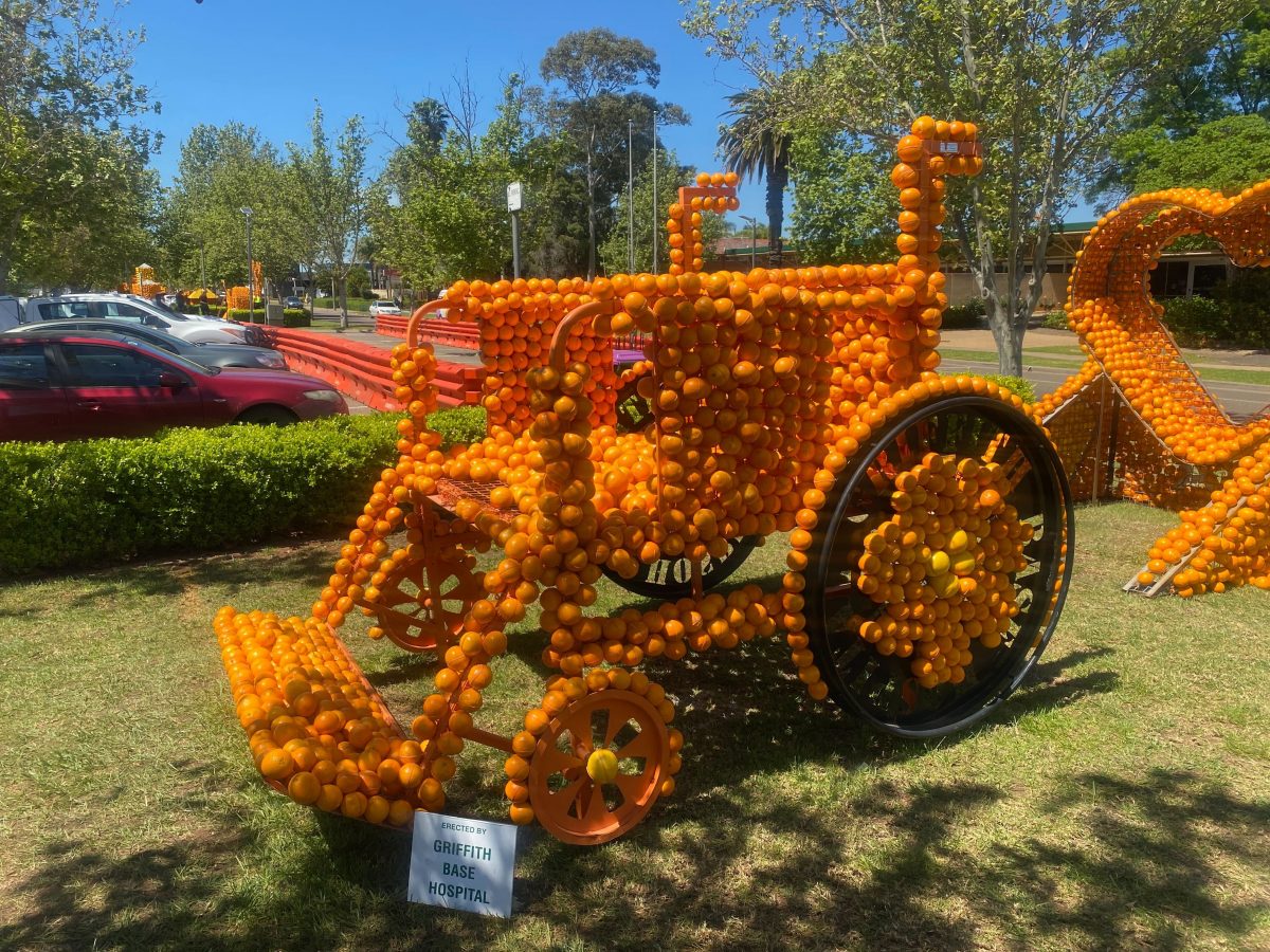 Citrus sculpture