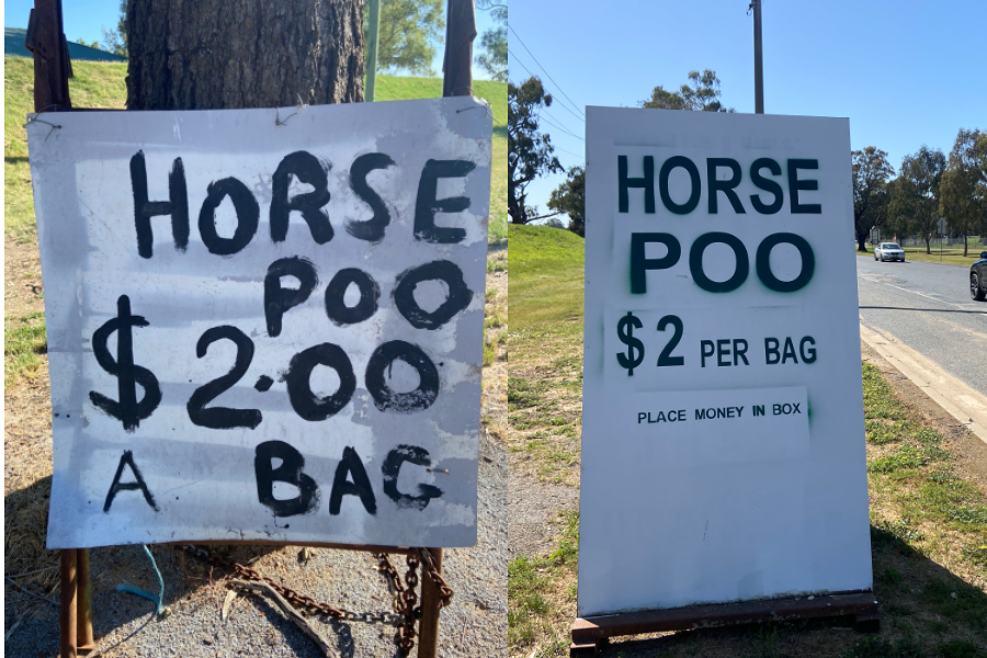 Poo signs