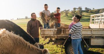 Country folk of Cootamundra, Gundagai invite you to meet 'the farmily'