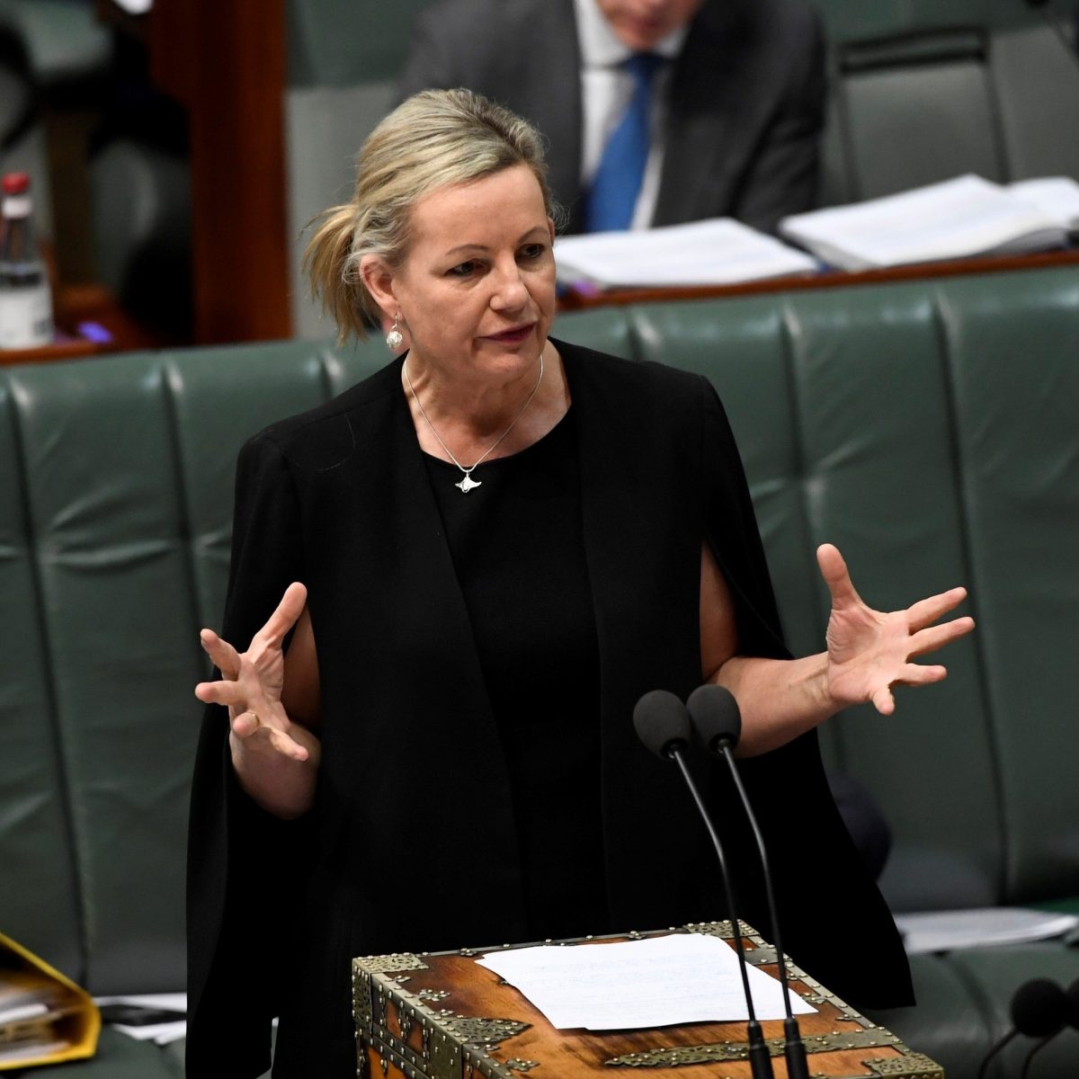 Sussan Ley 