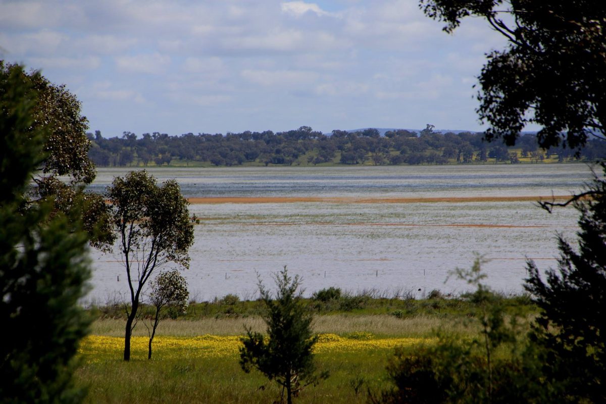 Lake Coolah aerial shot