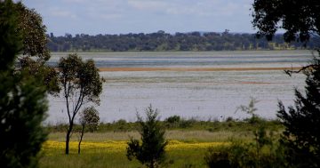 Narrandera Council revives 90-year-old push to transform Lake Coolah and Lake Mejum into dam