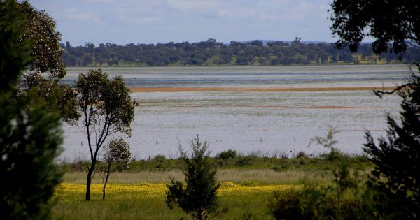 Narrandera Council revives 90-year-old push to transform Lake Coolah and Lake Mejum into dam