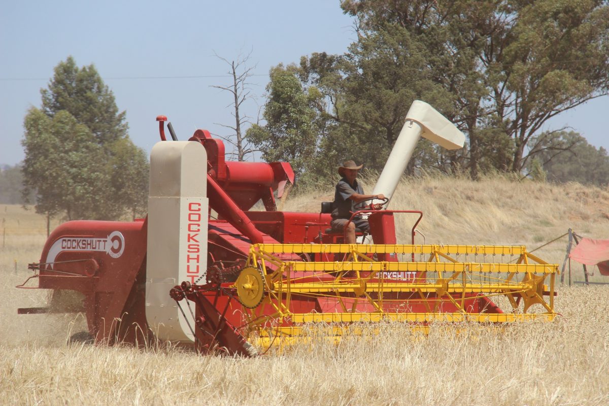 One of Kerry’s favourites, a fully restored US manufactured Cockshutt once belonging to his uncle. Kerry concedes he was born in the wrong era and enjoys nothing more than harvesting on a machine open to the elements. 