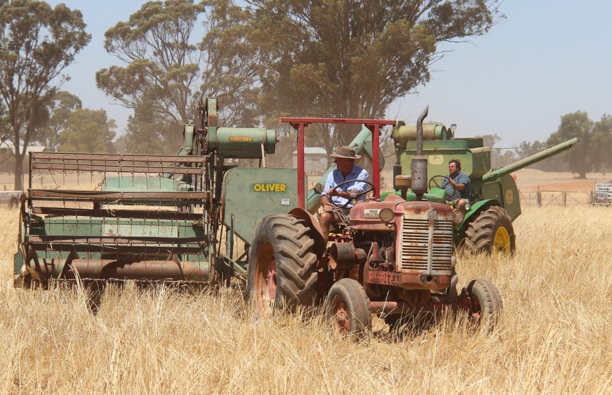 Kerry's collection spans a stripper, headers and harvesters, including horse drawn, PTO and self-propelled machines – of every make and model, jockeying for space in an ever-increasing number of sheds.